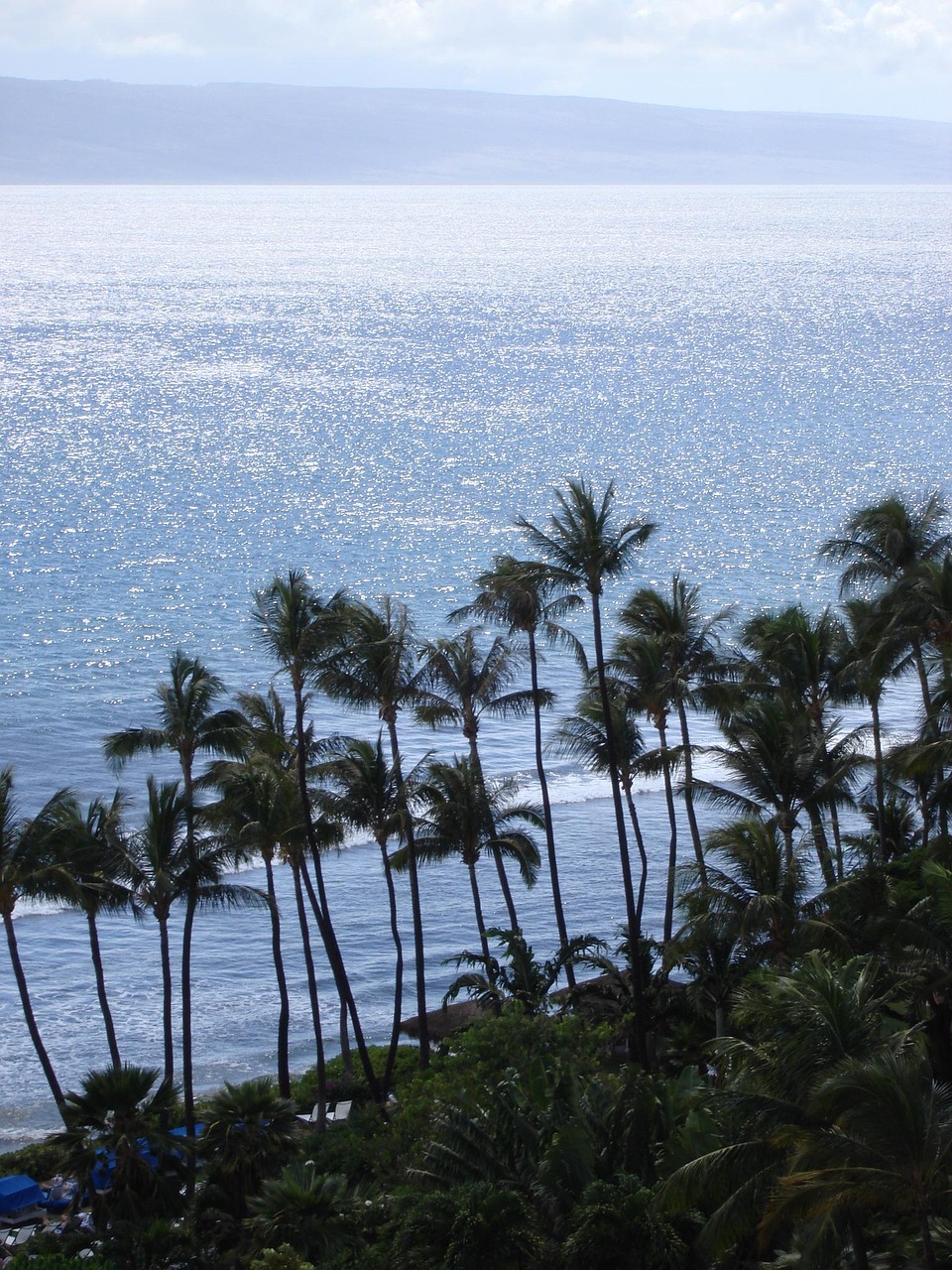 Hawaii Beach